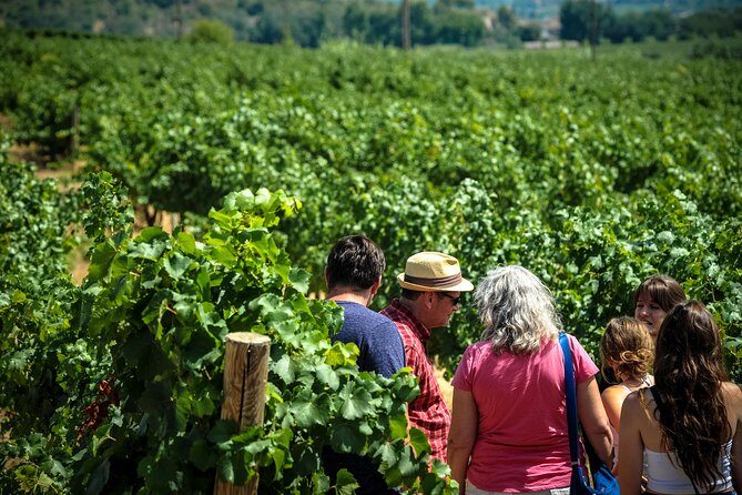 Private Montserrat with Wine Tasting Full Day Trip from Barcelona - FAQs