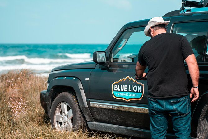 Private Morning Mykonos Safari Tour with Personal Driver - The Experience: What Travelers Can Expect