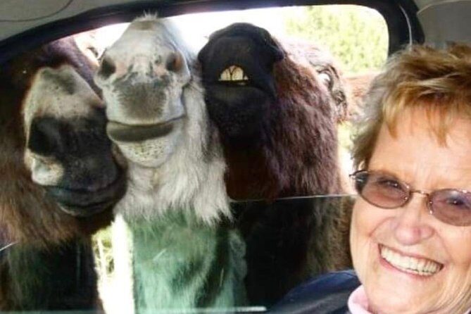 Private Mt Rushmore, Crazy Horse, Custer State Park Monument Tour - What’s Included and What’s Not