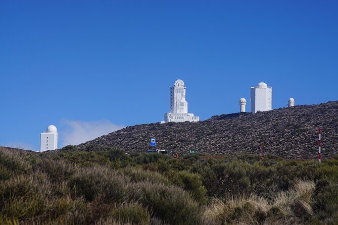 Private nature and culture tour of Teide and northern Tenerife - Final Thoughts: Is This Tour Right for You?