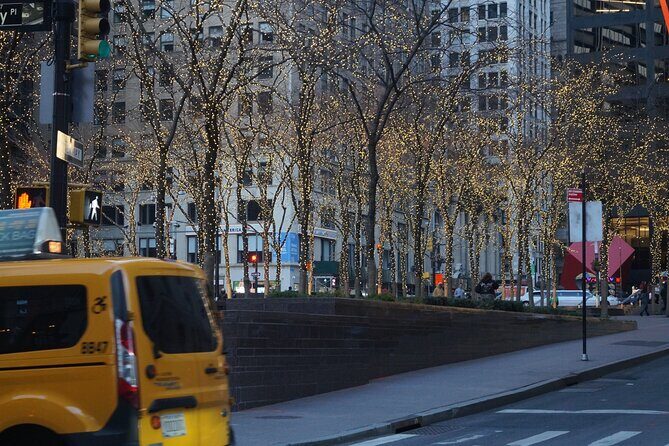 Private New York Downtown Highlights Half Day Tour - What the Itinerary Covers