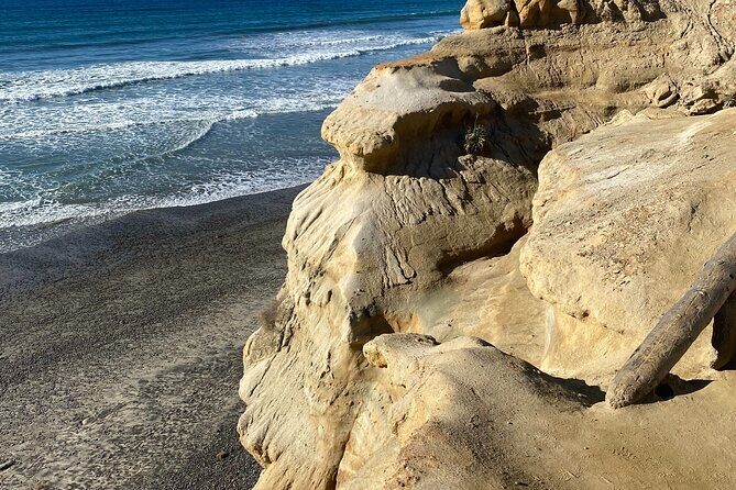 Private North County San Diego Electric Bike and Hike Tour - What to Expect from the Experience