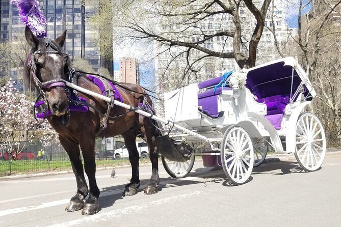 Private NYC Central Park Horse Carriage Ride (Guided) Since 1965 - Why Travelers Rave About This Tour