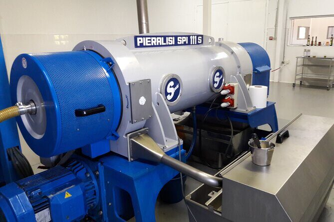 Private Olive Oil Tour from Sevilla - The Practicalities