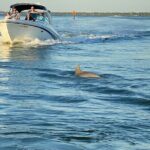 Private ONLY Dolphin Boat Tours - Pricing and Value