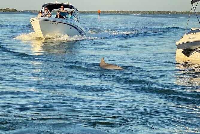 Private ONLY Dolphin Boat Tours - Pricing and Value