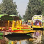 Private or Shared Tour Xochimilco Coyoacán and Frida Kahlo Museum - Transportation and Logistics