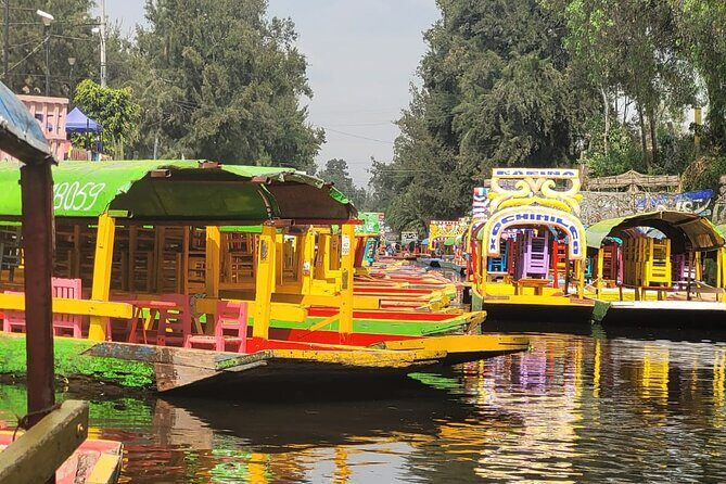 Private or Shared Tour Xochimilco Coyoacán and Frida Kahlo Museum - Transportation and Logistics