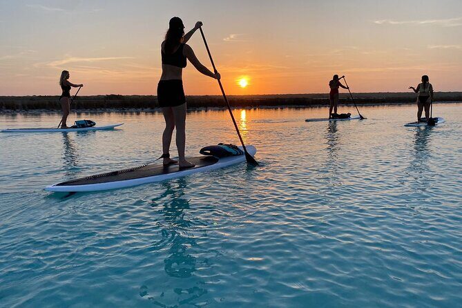 Private Paddleboard Experience in Bacalar - Price and Value
