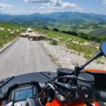 Private Panorama Quad Tour on Mountain of Bjelanica - Final Thoughts: Is It Worth It?