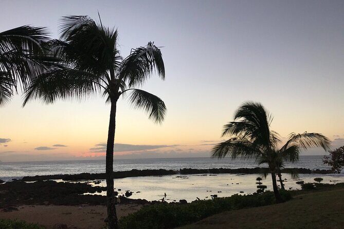 Private Pearl Harbor & North Shore tour (Se habla Español) - What Travelers Love (and What to Consider)