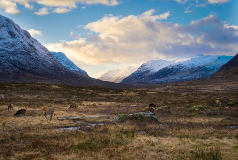 Private Photography Tour in Edinburgh - What the Tour Includes and What You Can Expect