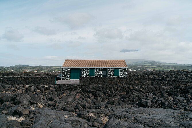 Private Pico Wine Tour (Half Day) - Why This Tour Might Be Perfect for You