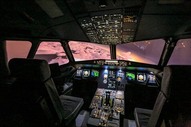 Private Pilotage of a Flight Simulator in Paris - The Value of the Experience