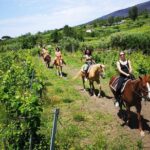Private Pompeii, Horse Riding & Lunch Tour w/ Pick up included - Who Will Love This Tour?