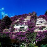 Private Pompeii, Sorrento & Mozzarella Making Tour from Naples - The Charm of Sorrento