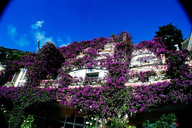 Private Pompeii, Sorrento & Mozzarella Making Tour from Naples - The Charm of Sorrento