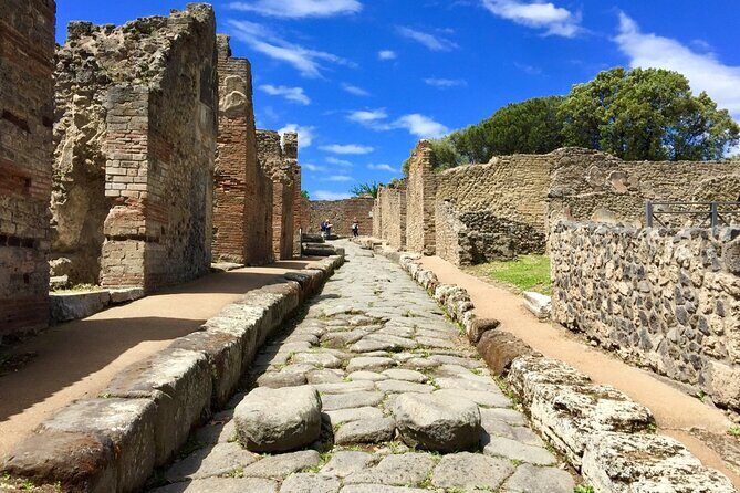 Private Pompeii Tour From Sorrento with Pick Up and Drop Off - Who Is This Tour Best For?