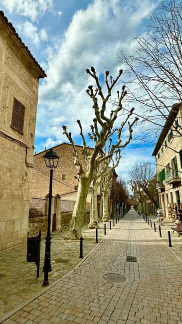 PRIVATE Port de Sóller, Sóller, and Sa Foradada Sunset Tour - The Highlight: Sa Foradada Sunset
