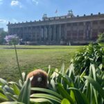 Private Potsdam Highlights: Half-Day Guided Tour Experience - What You Can Expect from the Experience
