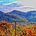 Private Prosecco Tour, with a certified Sommelier - Final Thoughts