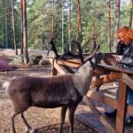 PRIVATE Reindeer Park Adventure by VIP Car - The Cozy Lappish "Kota" Experience