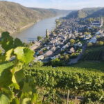 Private Rhine Valley tour with river cruise & wine tasting - Frequently Asked Questions