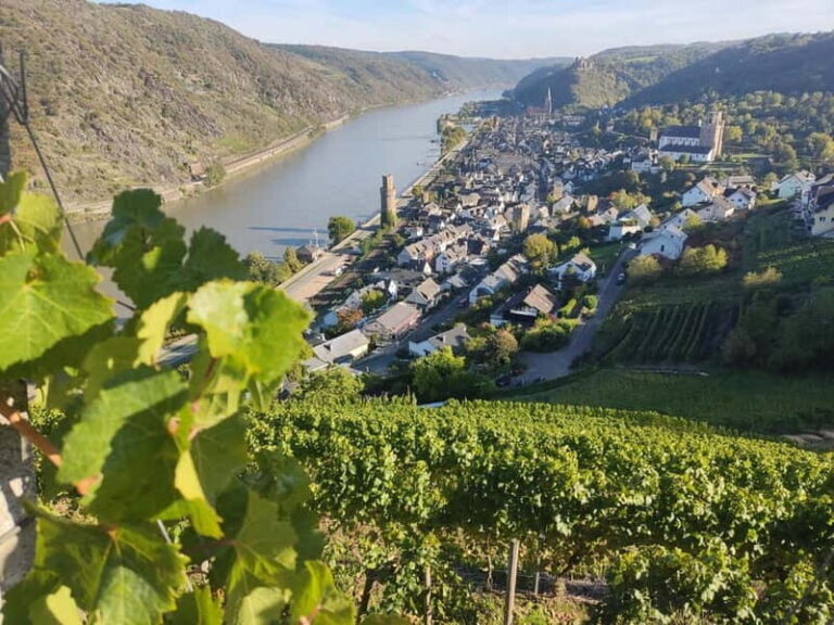 Private Rhine Valley tour with river cruise & wine tasting - Frequently Asked Questions