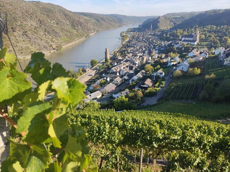 Private Rhine Valley tour with river cruise & wine tasting - Frequently Asked Questions