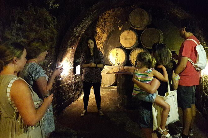 Private Rioja wine tasting tour with local lunch - FAQ