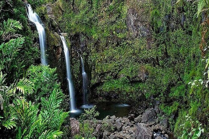 Private Road to Hana Rainforest & Waterfall Experience from Maui - Why This Tour Stands Out