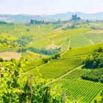 Private Round-Trip Transfer from Paris to Reims - What to Expect at Each Stage