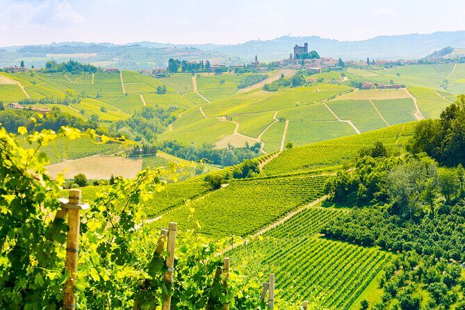 Private Round-Trip Transfer from Paris to Reims - What to Expect at Each Stage