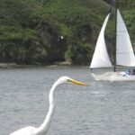 Private Sailing Tour of Bodega Bay - FAQ