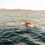 Private Sailing Trip from Heraklion to Dia island - First Stop: Dia Island (Scenic Cruise)