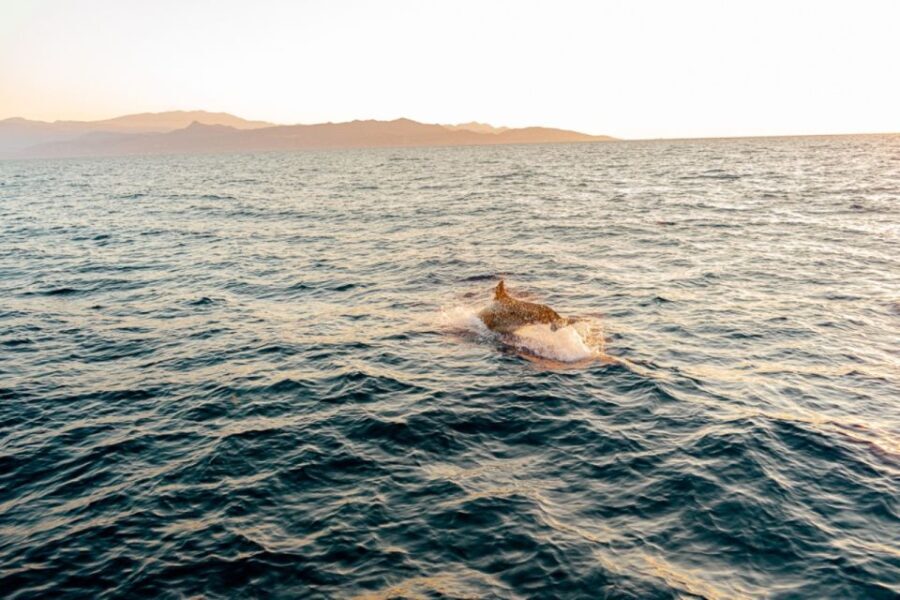 Private Sailing Trip from Heraklion to Dia island - First Stop: Dia Island (Scenic Cruise)