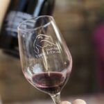 Private Saint-Tropez Peninsula Wine Tour - Is It Worth the Price?