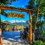 Private Sapanca and Masukiye Tour from Istanbul - What Does the Tour Include?