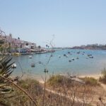 Private Sardine Route - Portimão - What Travelers Can Expect at Each Stop