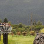 Private Scenic Turnagain Arm Glacier Tour from Anchorage - What’s Included and What’s Not