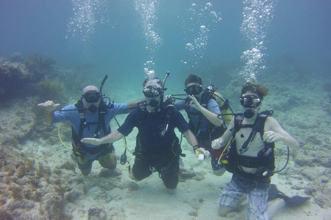 Private SCUBA Dive the reefs of Key Largo for up to 8 certified divers - The Reefs You’ll Explore