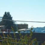 Private Seattle Cooking Class with a Chef in Her Home - Practical Details & Tips