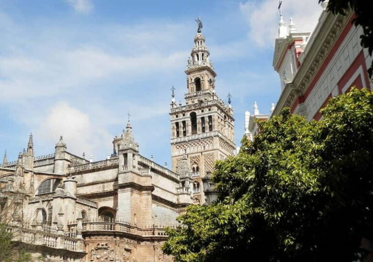 Private Seville: exclusive tour of Santa Cruz and the historic center - The Practical Side: What to Expect and Value