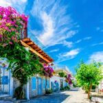 Private Shopping Tour in Bodrum city - Who Is This Tour Best For?