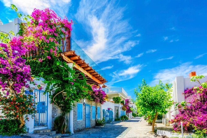 Private Shopping Tour in Bodrum city - Who Is This Tour Best For?