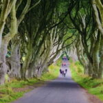 Private Shore Excursion From Belfast Cruise Terminal - What the Itinerary Looks Like