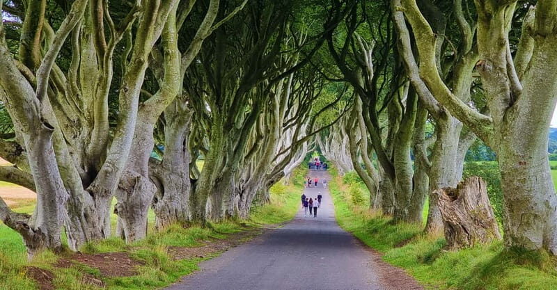 Private Shore Excursion From Belfast Cruise Terminal - What the Itinerary Looks Like