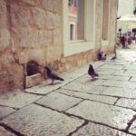 Private Sibenik Walking Historical Morning or Evening Tour - What You’ll See and Learn