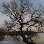 Private Sigtuna Tour from Stockholm - Oldest Town of Sweden - What’s Included and Whats Not