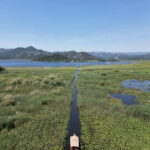 Private Skadar lake tour with guide, snacks and drinks - Who Is This Tour Best Suited For?
